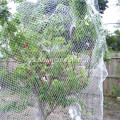 Red anti de pájaros de plástico de seguridad de árboles frutales
